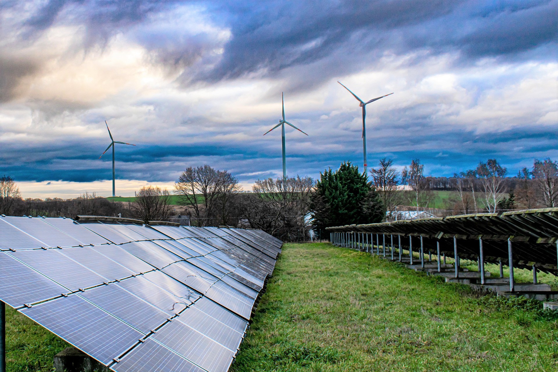 Renewable energy and biodiversity