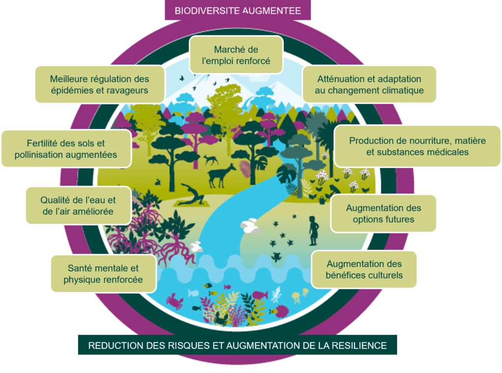 biodiversité économie