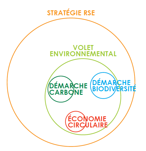 Biodiversité dans RSE