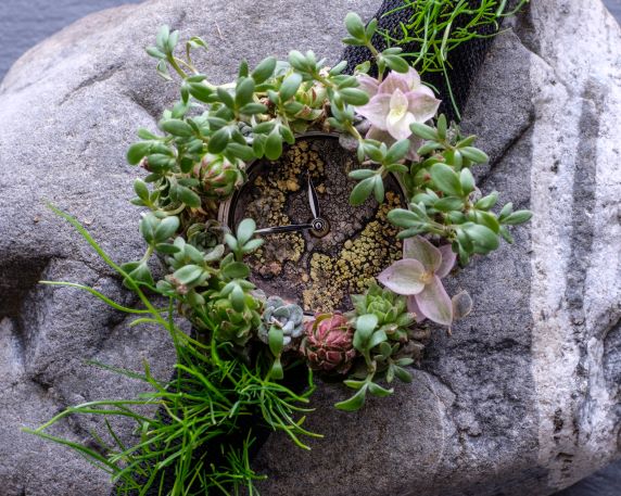 Montre et nature, un mariage de passion et raison