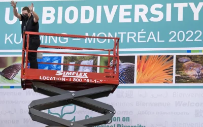 New global agreement on biodiversity. What does this mean for Switzerland?