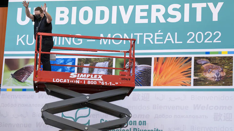 New global agreement on biodiversity. What does this mean for Switzerland?