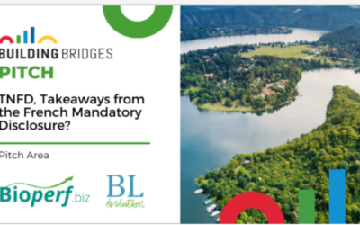 Annual gathering of the sustainability-oriented finance, the Building Bridges 23: take aways