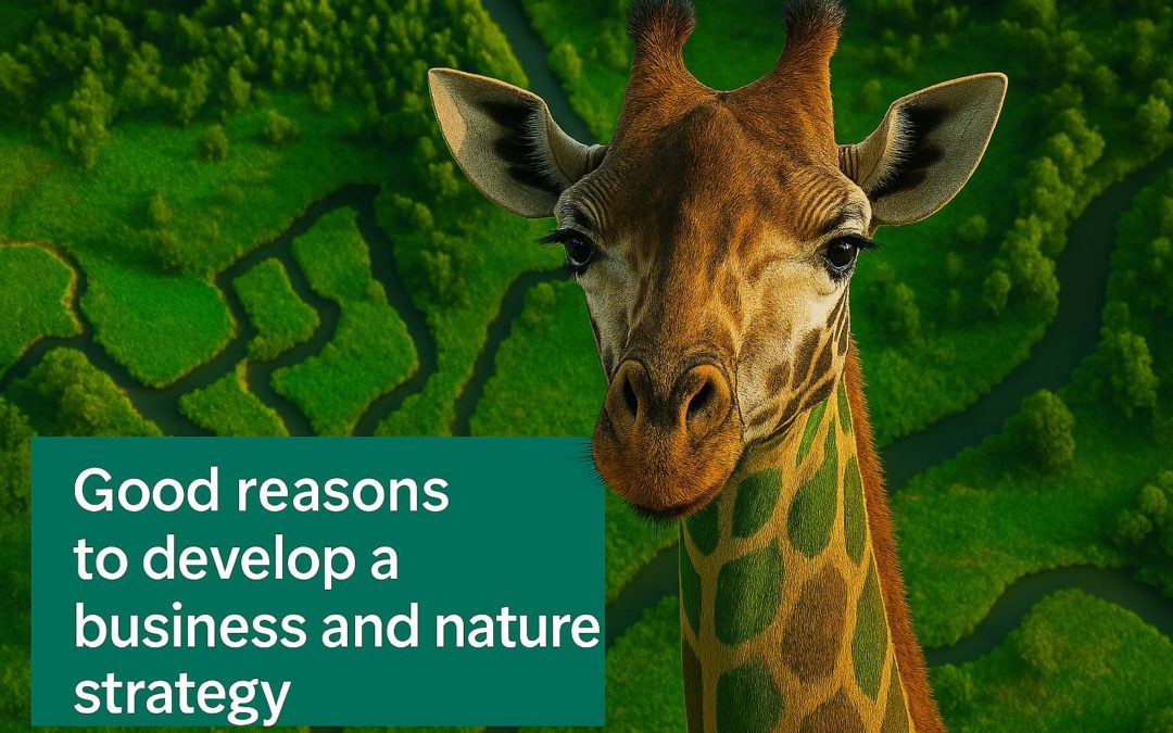 Why integrating the risks and opportunities relating to nature in your business?