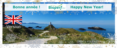 Happy New Year! Nature-Oriented Business Trends to Watch in 2026